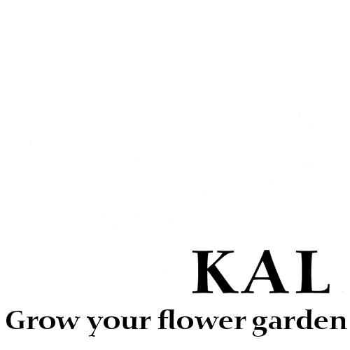 kal-grow-your-flower-garden-amimation-short-500px